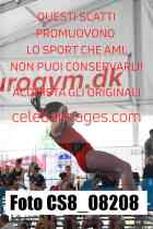 CS8_08208-