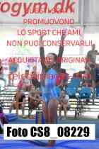 CS8_08229-