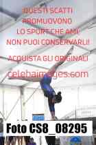 CS8_08295-