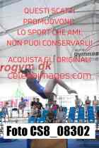 CS8_08302-