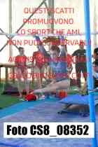 CS8_08352-