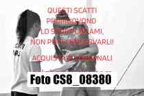 CS8_08380-