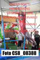 CS8_08388-