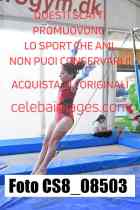 CS8_08503-
