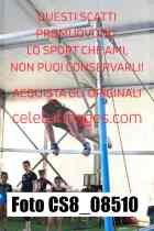 CS8_08510-