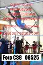 CS8_08525-