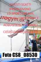 CS8_08530-
