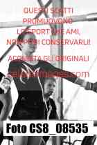 CS8_08535-