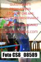 CS8_08589-