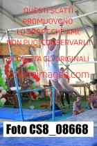 CS8_08668-