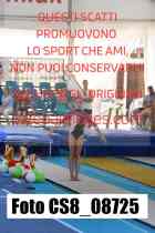 CS8_08725-