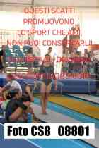 CS8_08801-