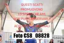 CS8_08828-