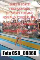 CS8_08860-