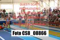 CS8_08866-