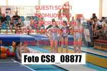 CS8_08877-