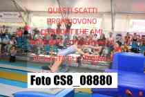 CS8_08880-