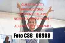 CS8_08908-