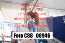 CS8_08946-