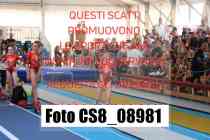 CS8_08981-