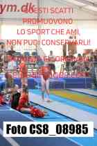 CS8_08985-