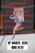04421_C24