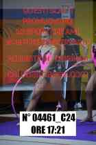 04461_C24