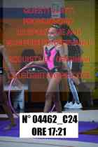 04462_C24