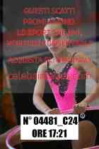 04481_C24