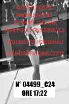 04499_C24