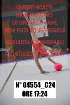 04554_C24