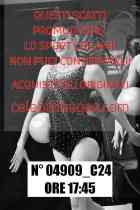04909_C24