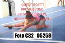 CS2_05258