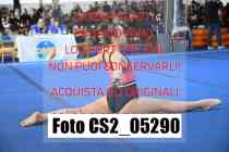 CS2_05290