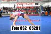 CS2_05291