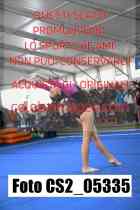 CS2_05335