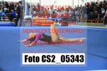 CS2_05343