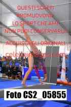 CS2_05855