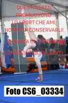 CS6_03334