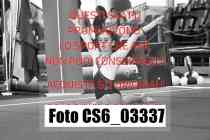 CS6_03337