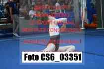 CS6_03351