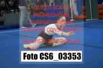 CS6_03353