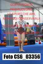 CS6_03356