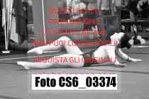 CS6_03374