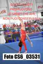 CS6_03531