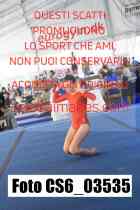 CS6_03535