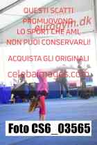 CS6_03565
