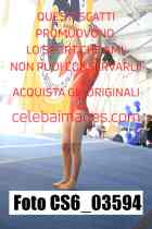 CS6_03594