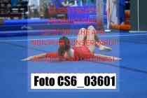 CS6_03601