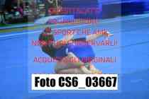 CS6_03667